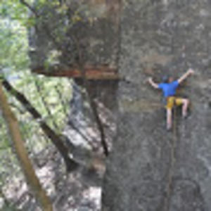 Meet your Posher, Bear